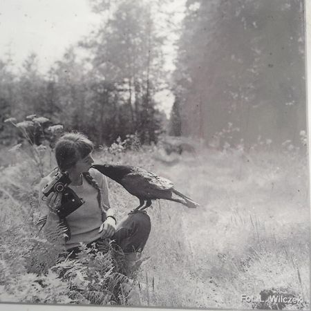 In Nature Białowieża Buitenkant foto