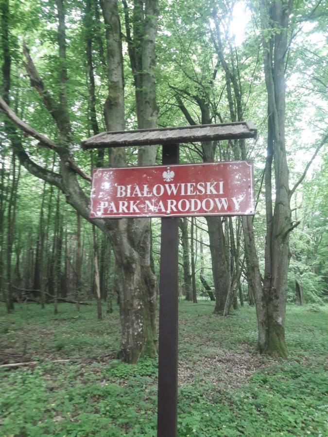 In Nature Białowieża Buitenkant foto