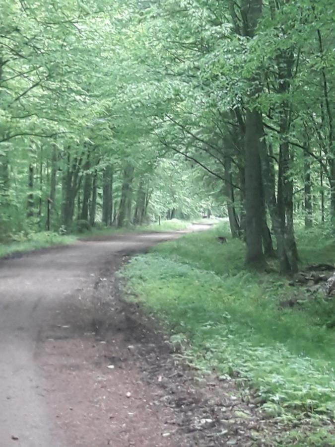 In Nature Białowieża Buitenkant foto