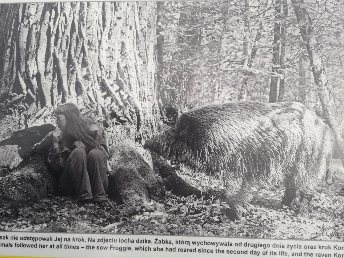 In Nature Białowieża Buitenkant foto