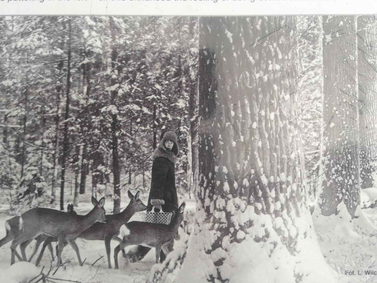 In Nature Białowieża Buitenkant foto