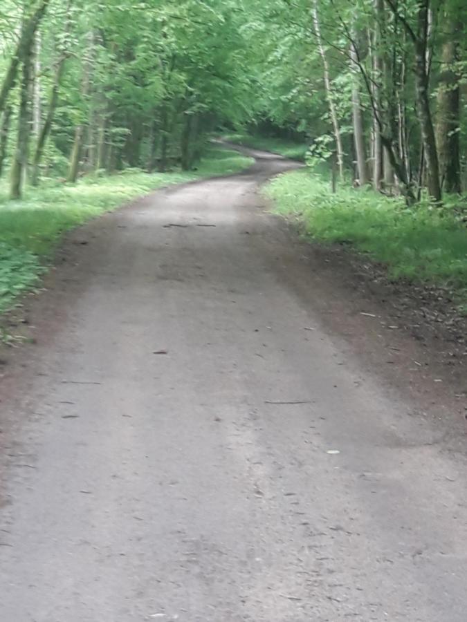 In Nature Białowieża Buitenkant foto