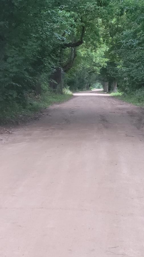 In Nature Białowieża Buitenkant foto