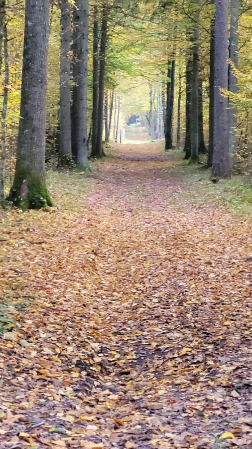 In Nature Białowieża Buitenkant foto